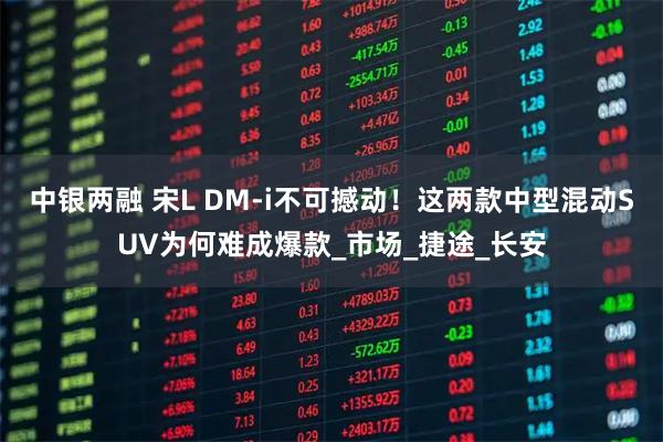 中银两融 宋L DM-i不可撼动！这两款中型混动SUV为何难成爆款_市场_捷途_长安