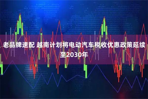 老品牌速配 越南计划将电动汽车税收优惠政策延续至2030年