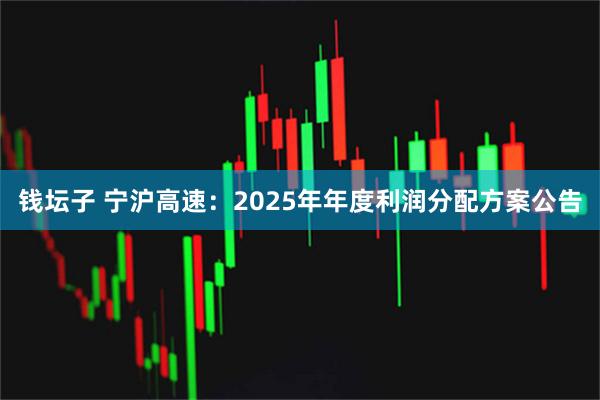 钱坛子 宁沪高速：2025年年度利润分配方案公告