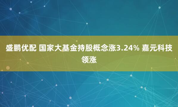 盛鹏优配 国家大基金持股概念涨3.24% 嘉元科技领涨